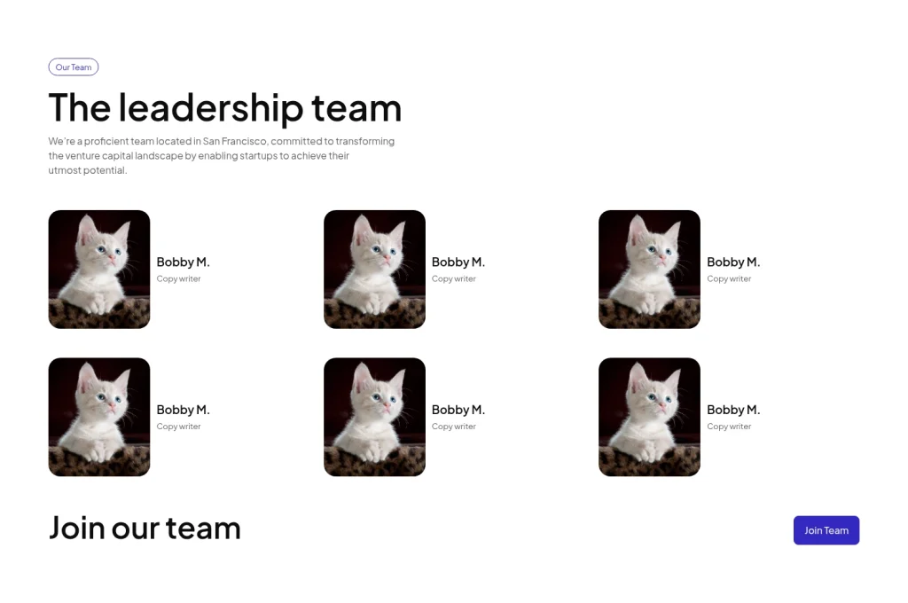 16 acss waheed co template team