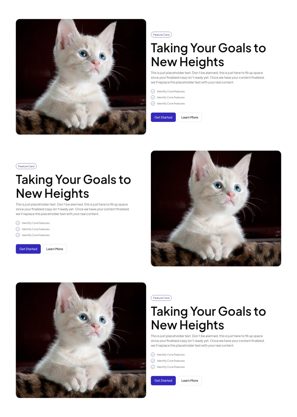 Features #11 template screenshot