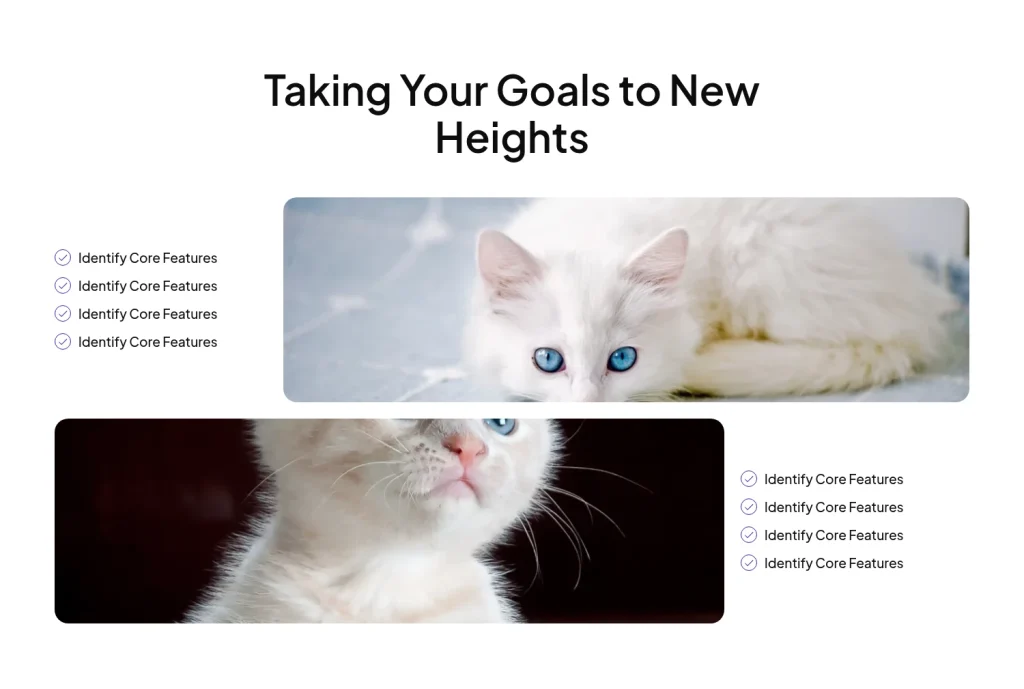 Features #9 template screenshot