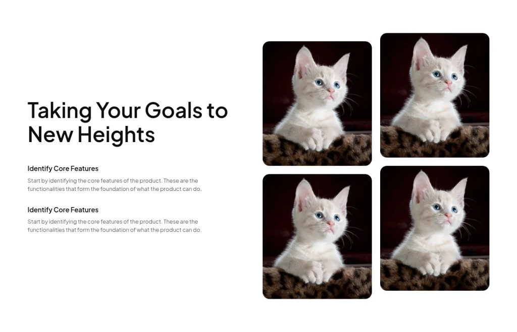 Features #5 template screenshot