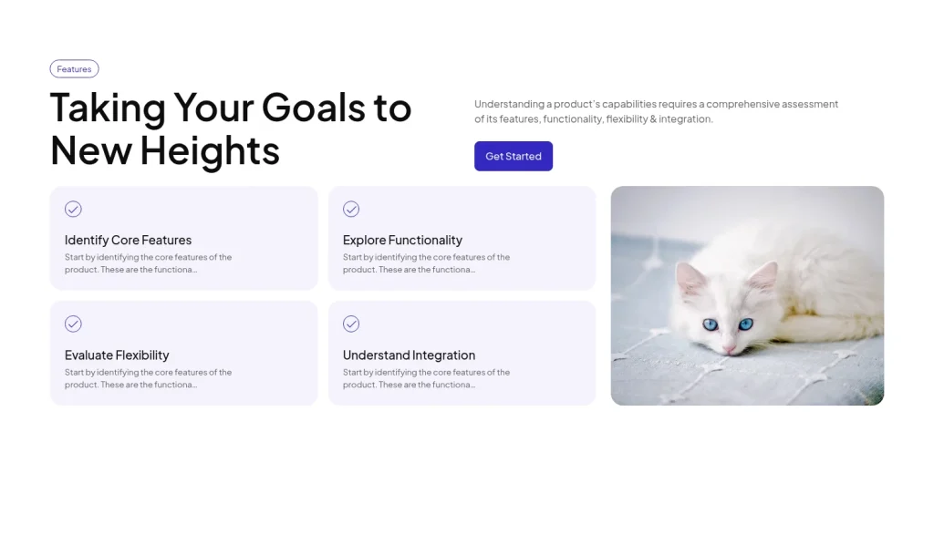 Features #3 template screenshot