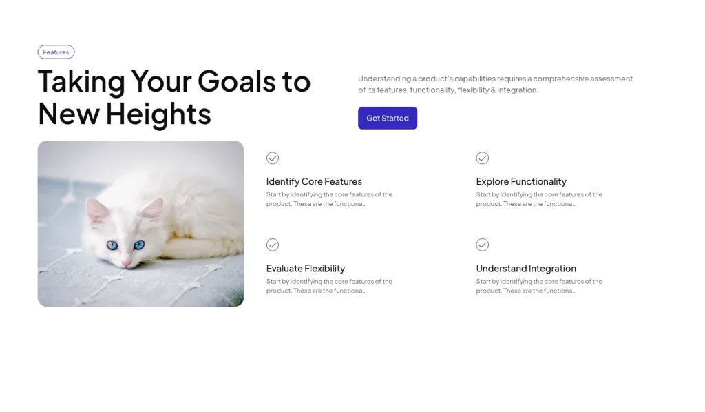 Features #2 template screenshot