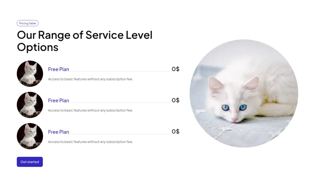 Pricing #19 template screenshot