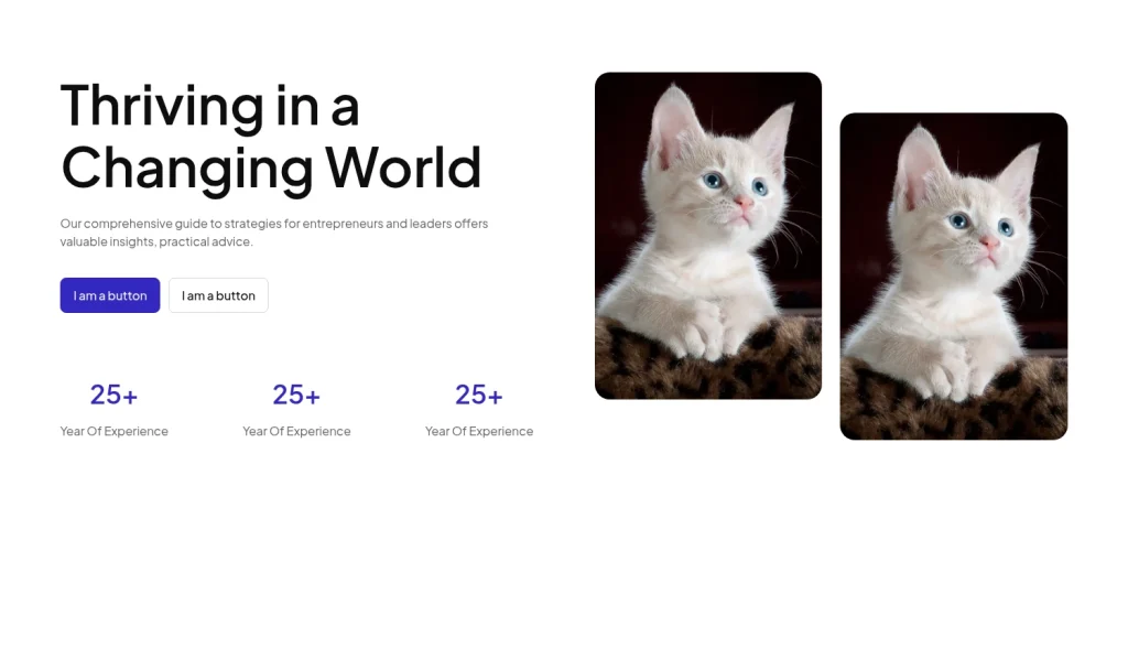 Hero #19 template screenshot