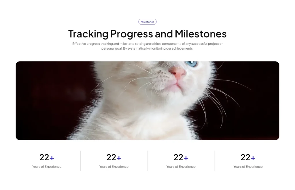 Metrics #13 template screenshot