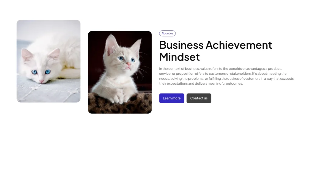 About us #6 template screenshot