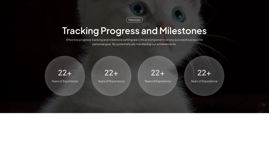 Metrics #9 template screenshot