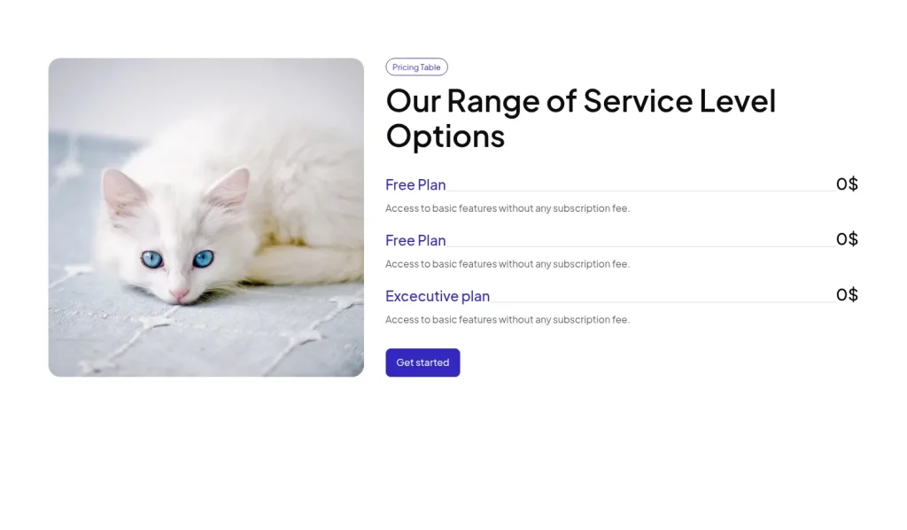 Pricing #13 template screenshot