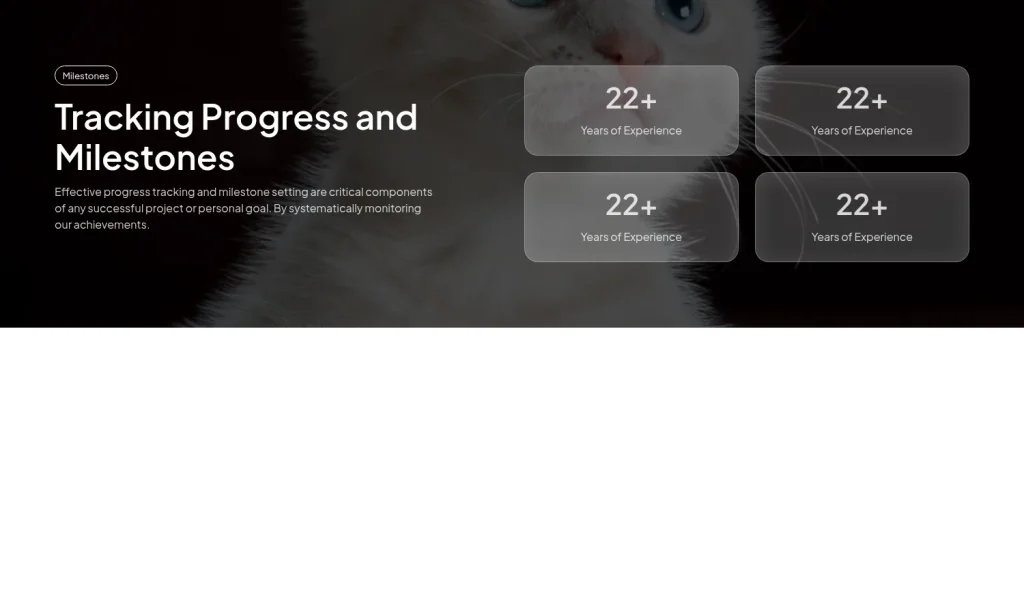 Metrics #8 template screenshot