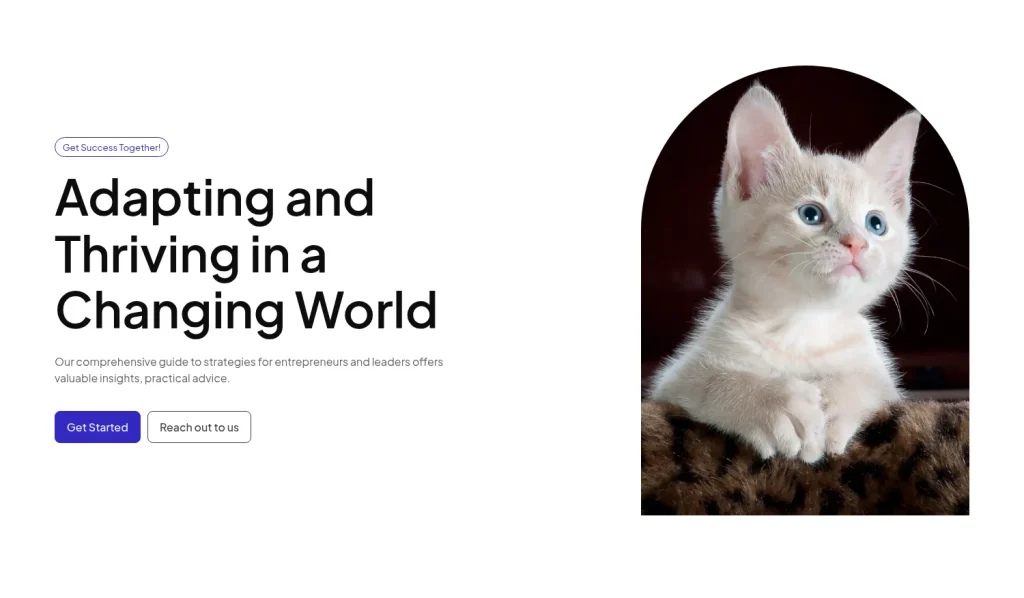 Hero #13 template screenshot