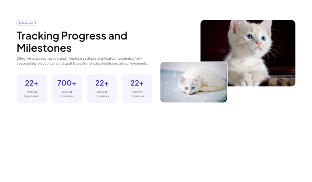 Metrics #6 template screenshot