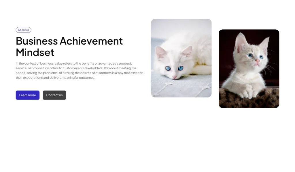 About us #5 template screenshot