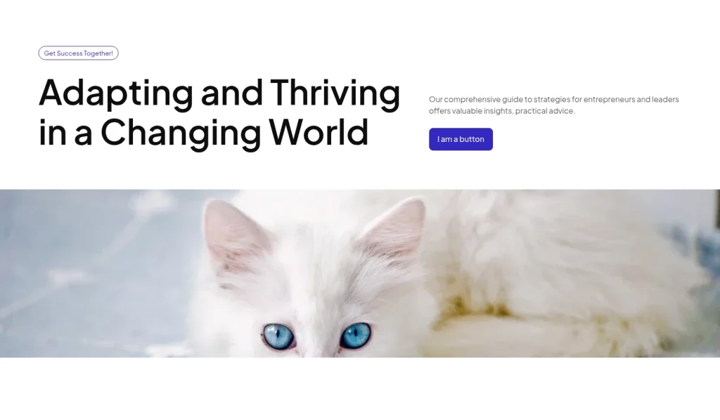 Hero #7 template screenshot