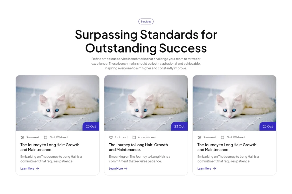 Blog #6 template screenshot