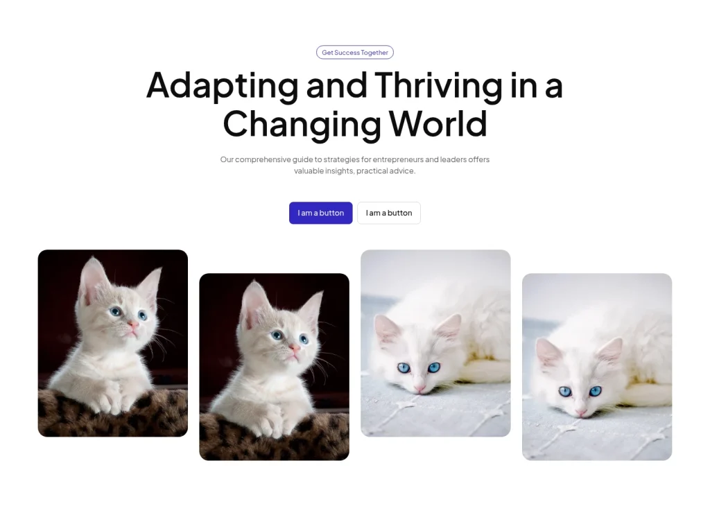 Hero #5 template screenshot