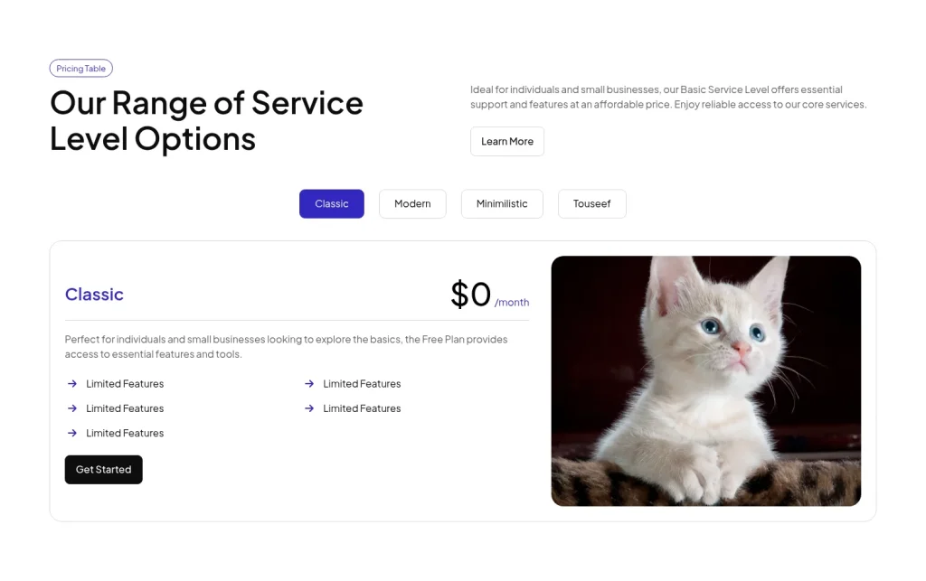 Pricing #9 template screenshot