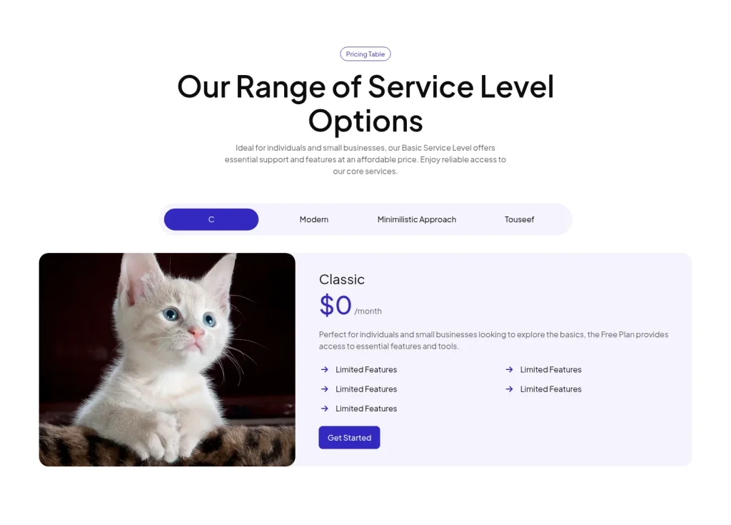 Pricing #8 template screenshot