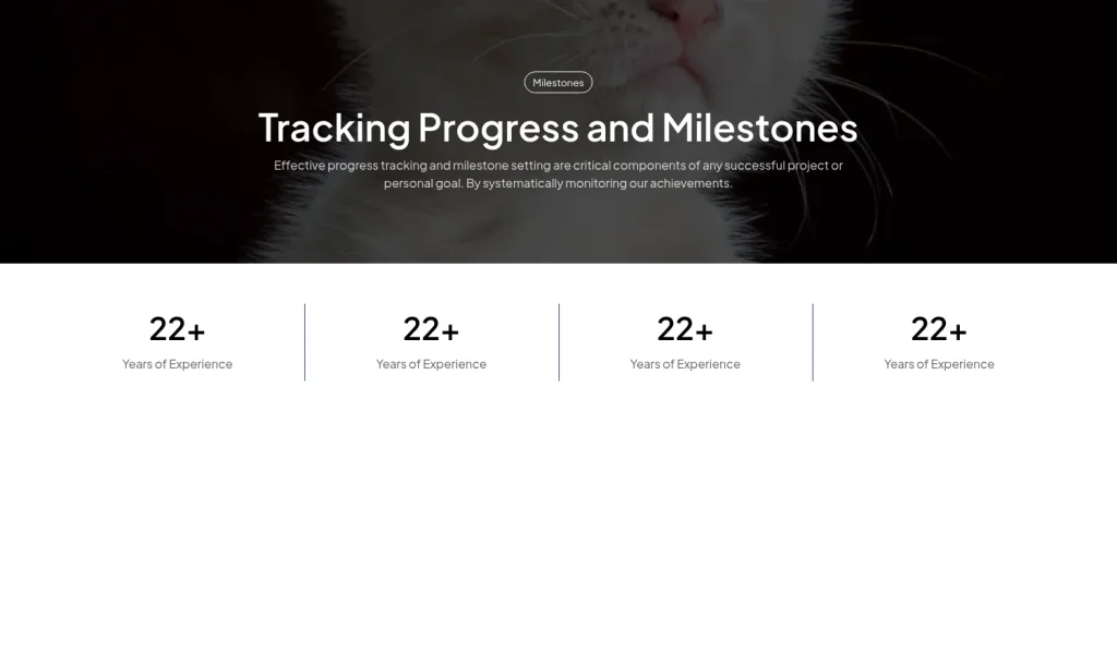 Metrics #5 template screenshot