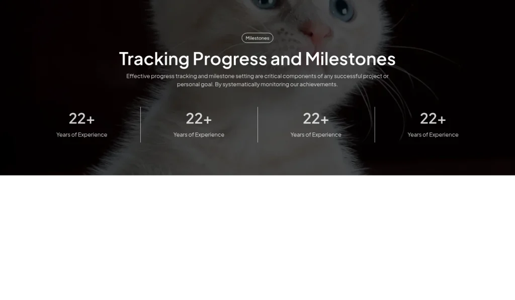 Metrics #4 template screenshot