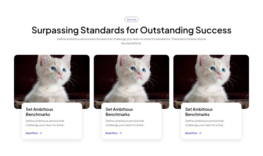 Service #17 template screenshot