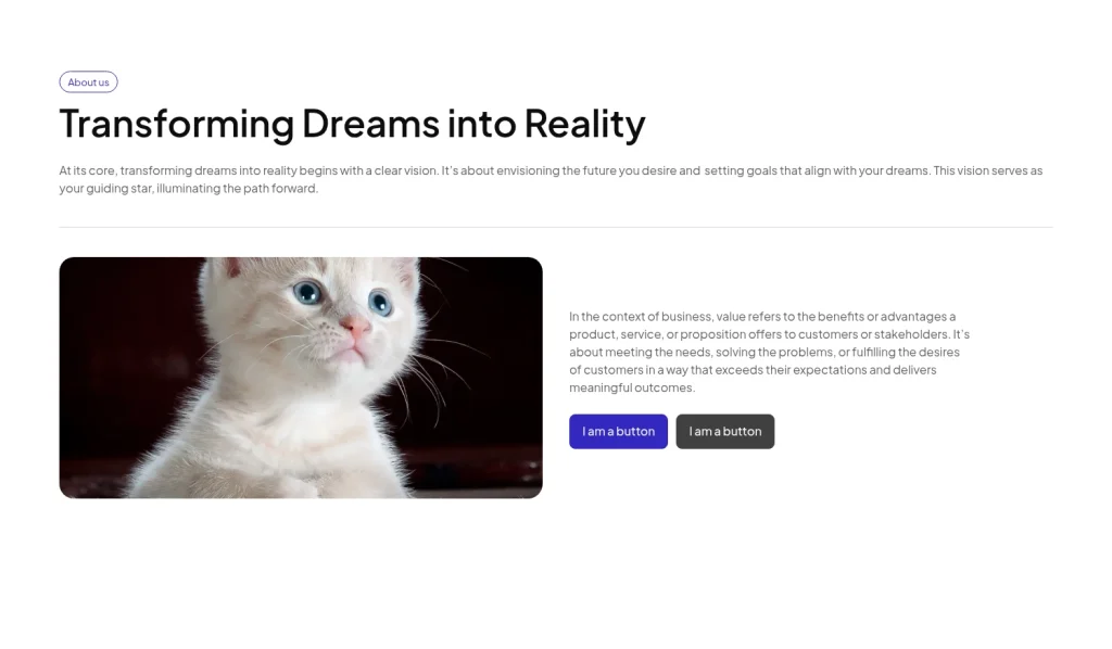 About us #3 template screenshot