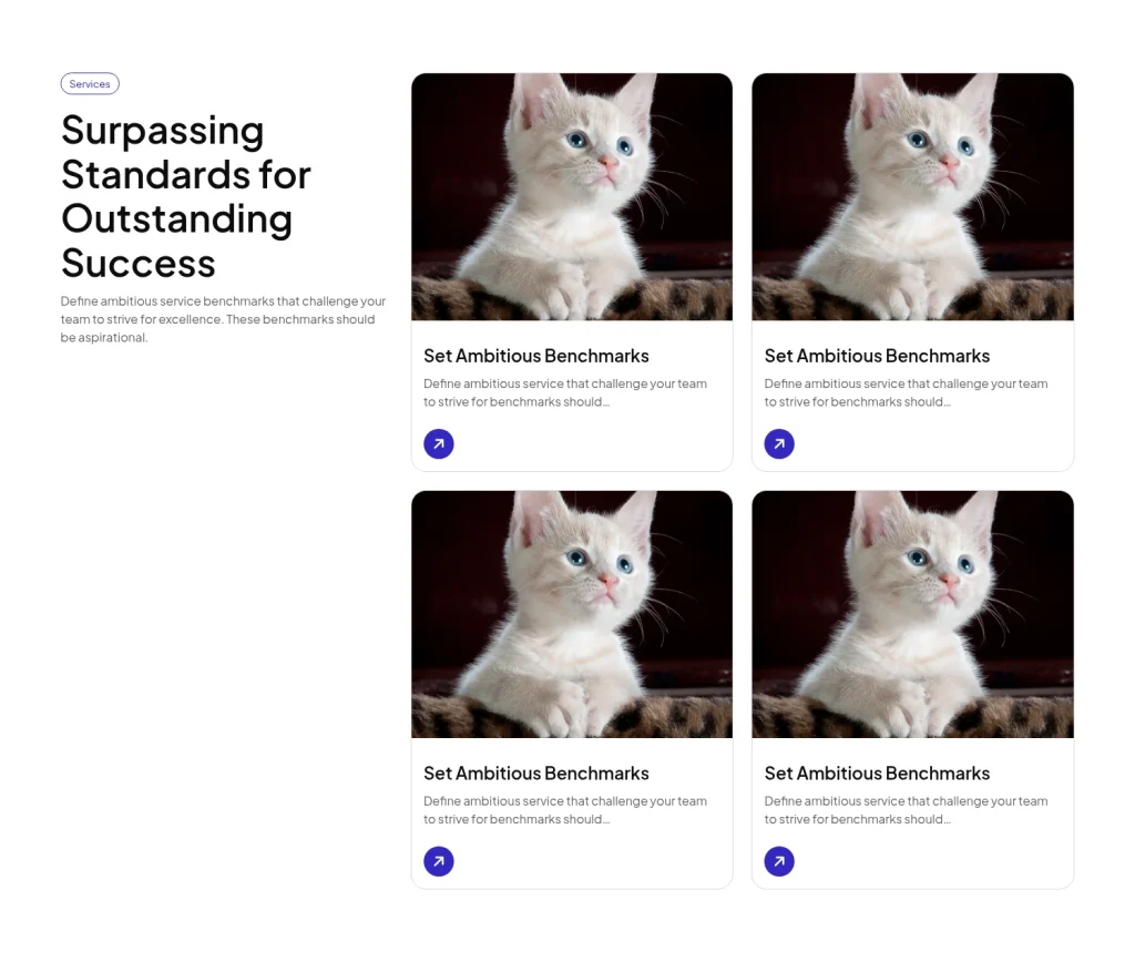 Service #16 template screenshot