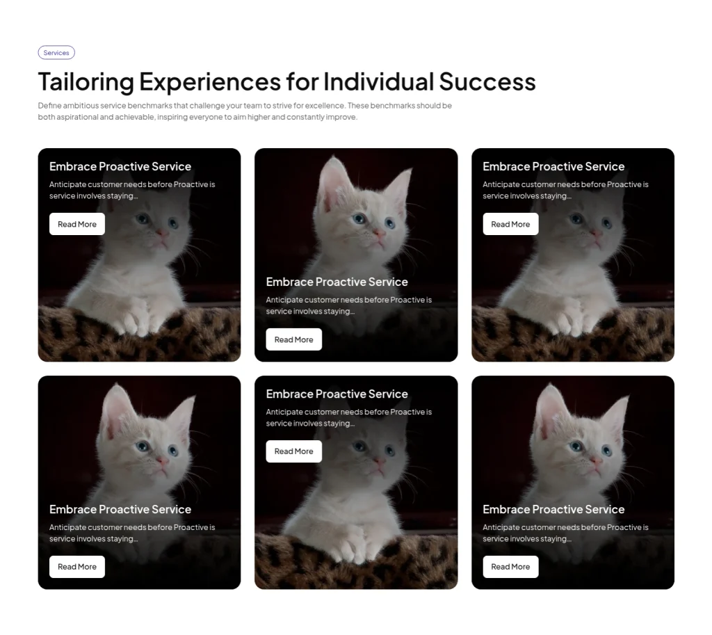 Service #15 template screenshot