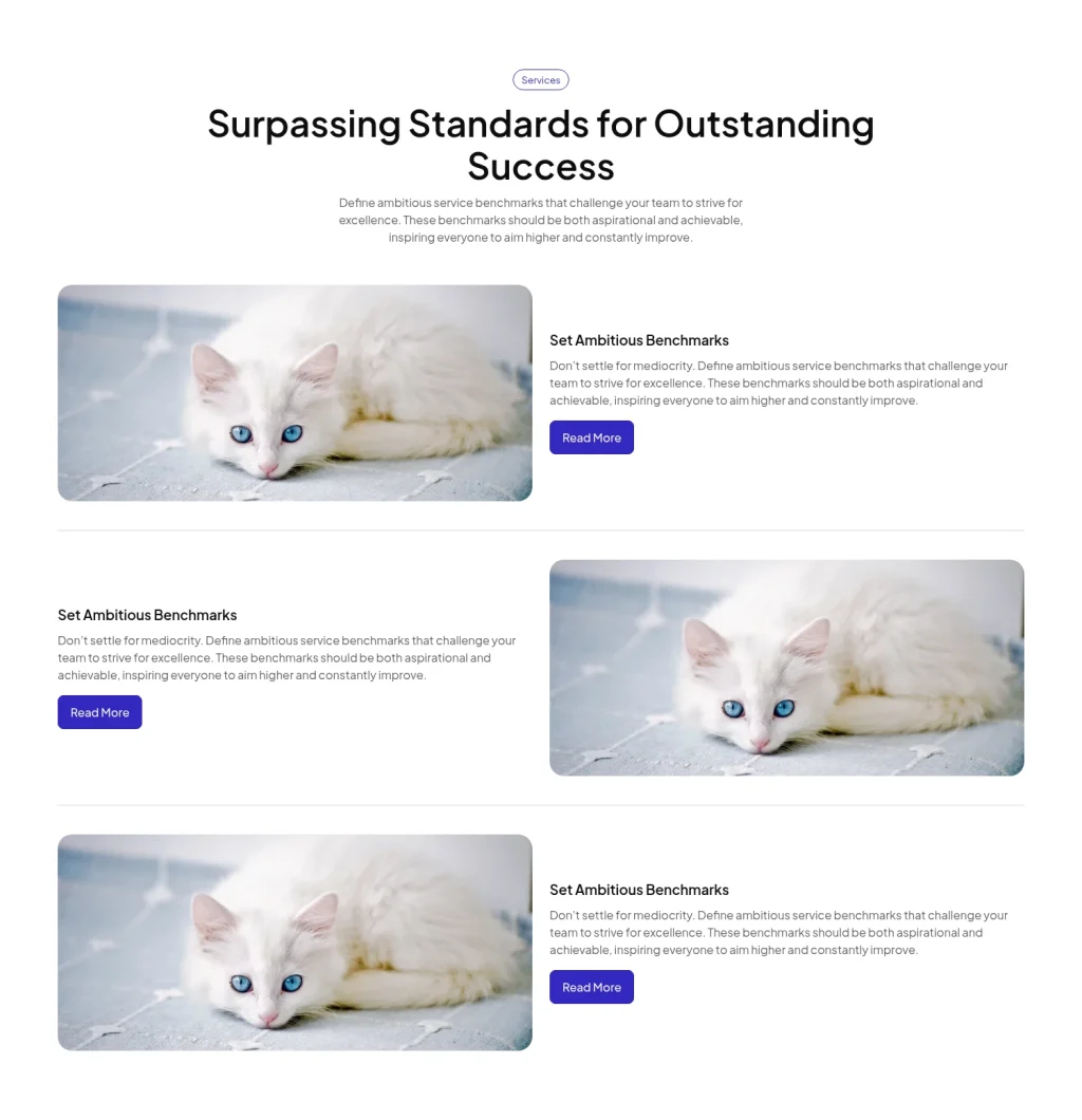 Service #13 template screenshot