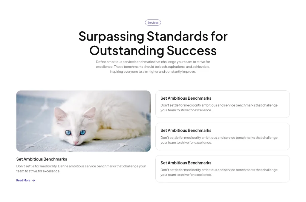 Service #11 template screenshot