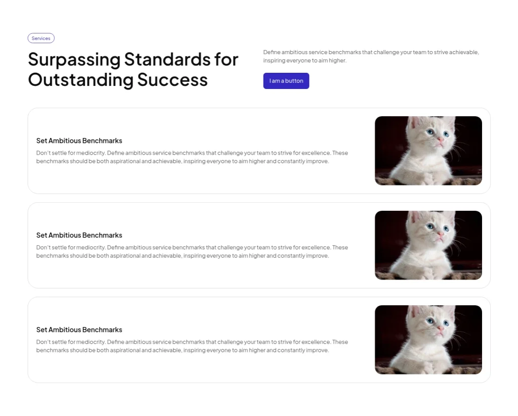 Service #9 template screenshot