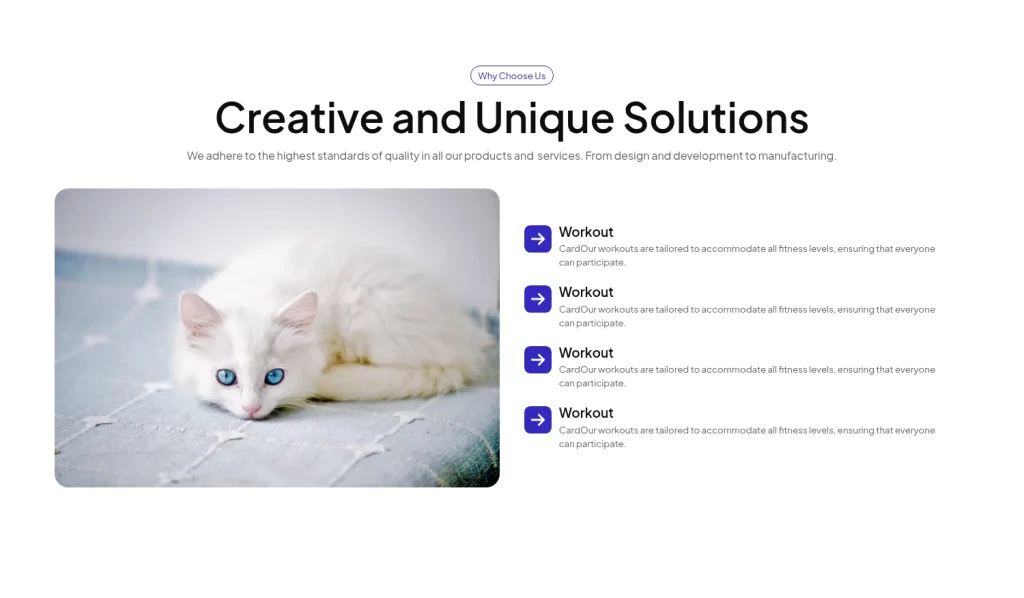 Why Choose us #1 template screenshot