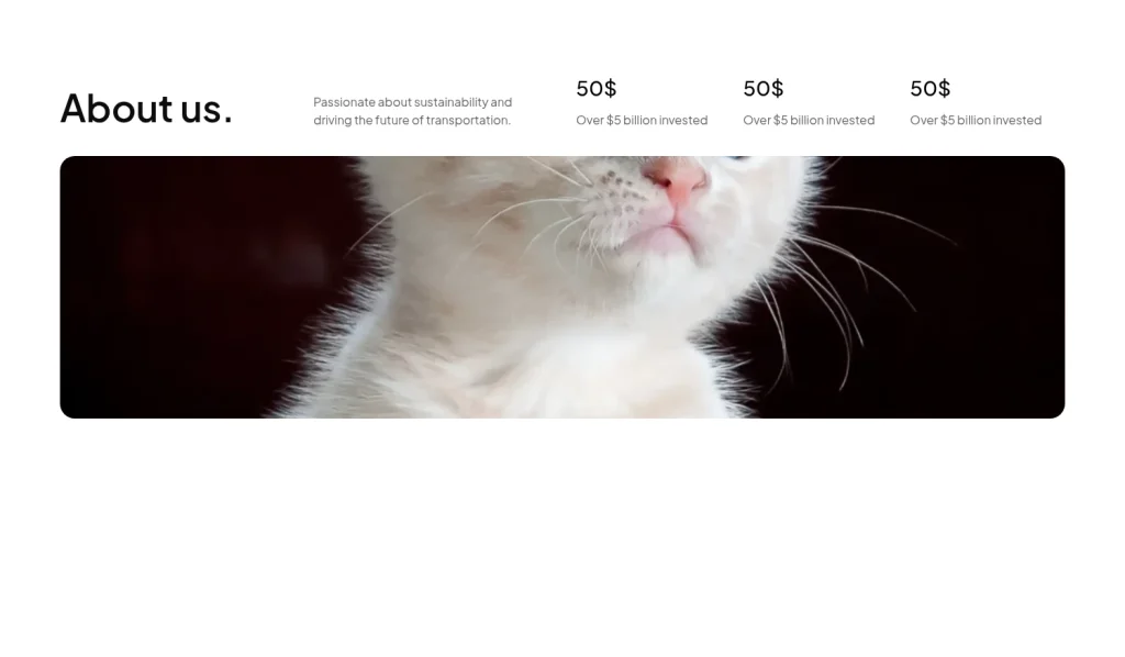 About us #20 template screenshot