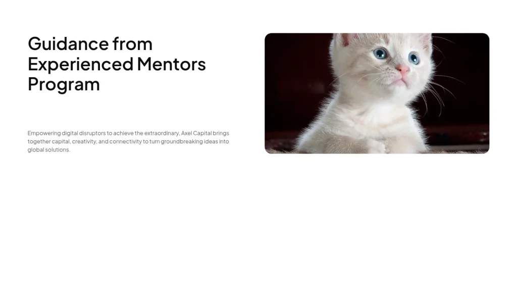 About us #19 template screenshot