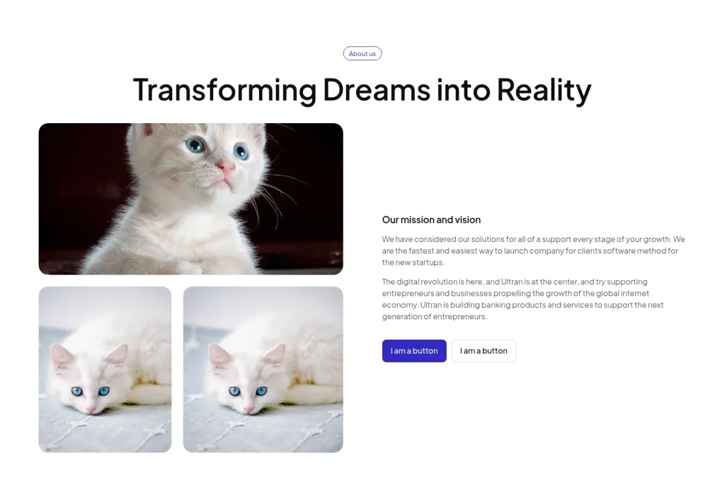 About us #18 template screenshot