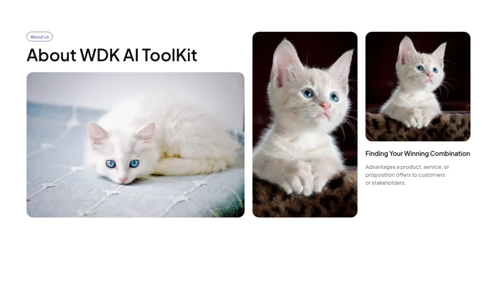 About us #17 template screenshot