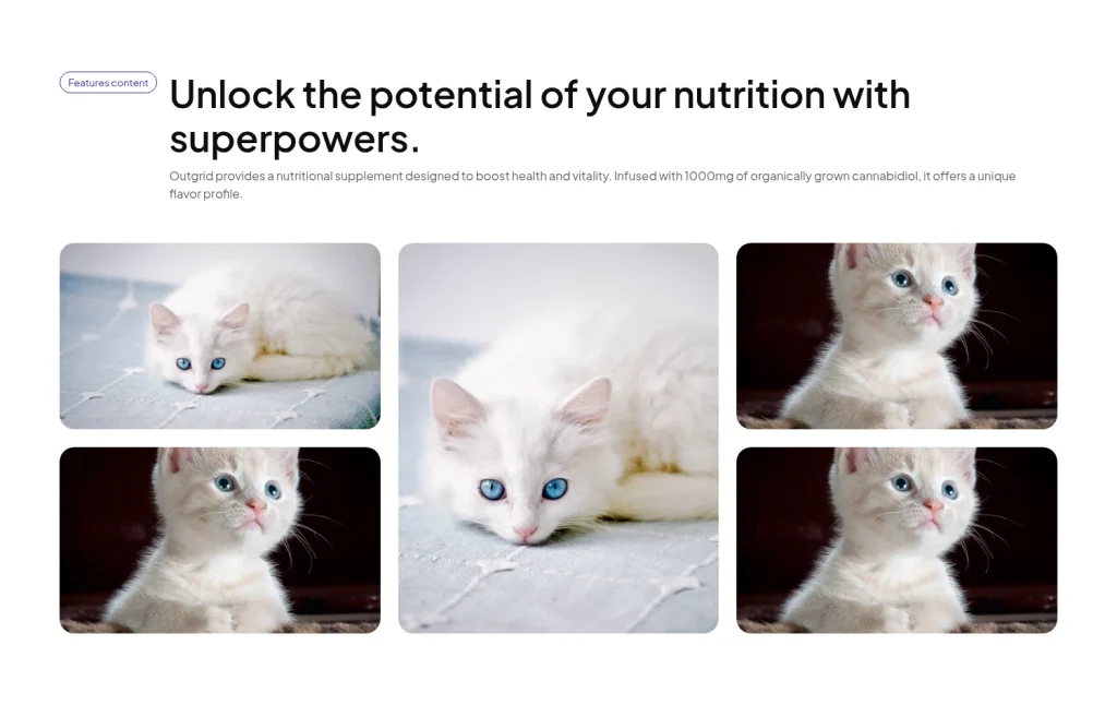 Features #19 template screenshot