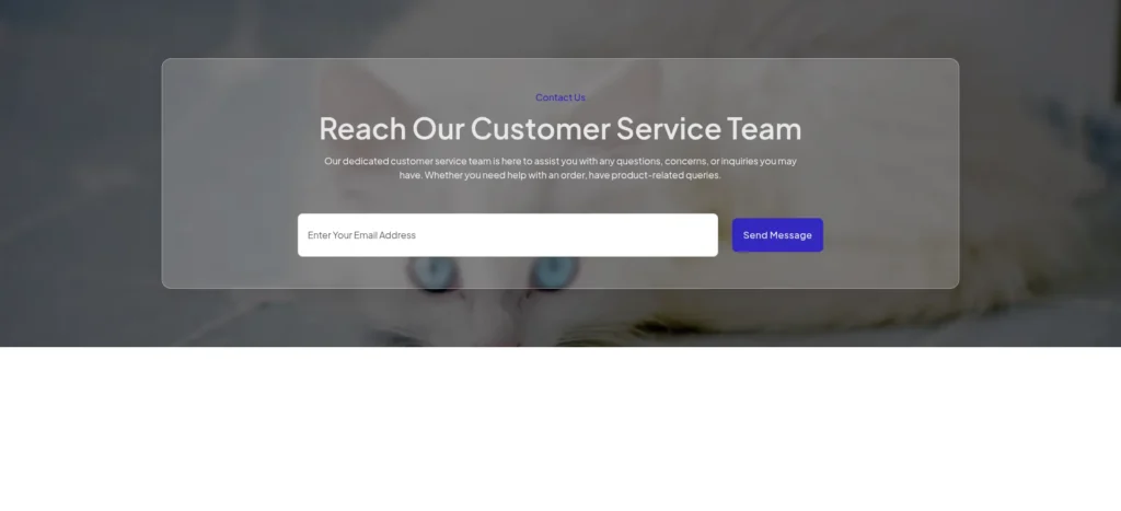 Contact #12 template screenshot